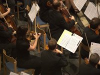 Geiger 16.7.2016 284